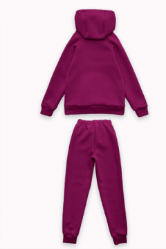 Костюм с брюками футер начёс Николь 40000