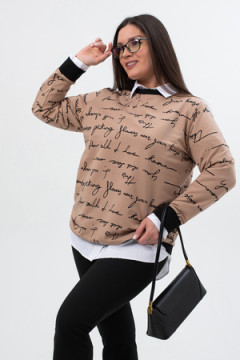 Свитшот СЖ014