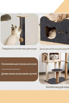 60911 Когтеточка