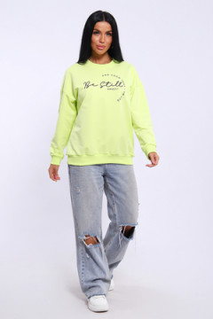 Толстовка 80039