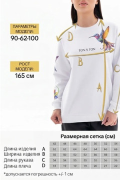 Толстовка Аниме-Колибри