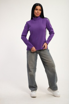 Водолазка 74721