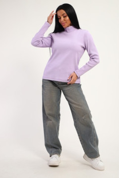 Водолазка 74721