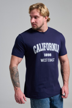 Футболка мужская 8503/1