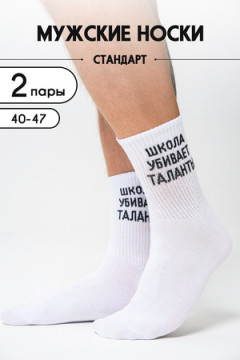 Носки стандарт Талант комплект 2 пары