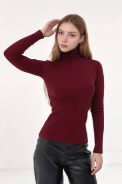 Водолазка 14439/1