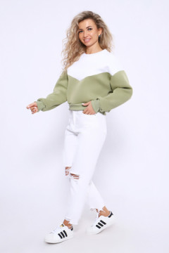 Толстовка 21011