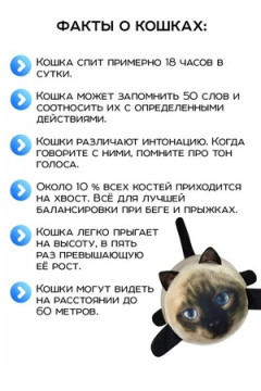 Игрушка-антистресс Кот Барсик