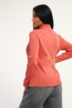 Водолазка 74721