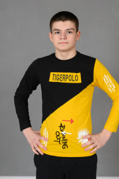 Лонгслив 83016