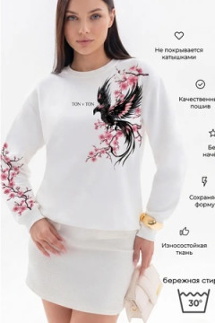Толстовка Аниме-феникс