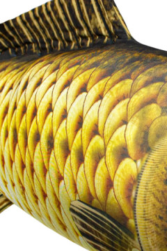 Игрушка-антистресс Рыба мечты. Сазан