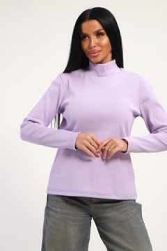 Водолазка 74721