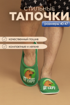 Тапочки домашние С-6ММ(пч)-МР мужские