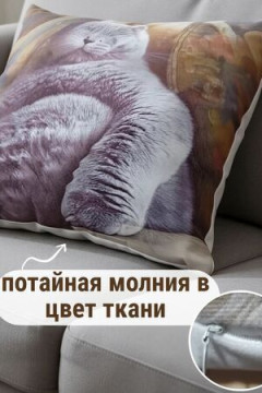 Наволочка декоративная декоративная Британец 3D