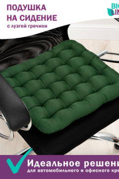 Подушка для мебели Bio-Line с гречневой лузгой PSG25