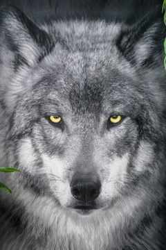 Полотенце Акела