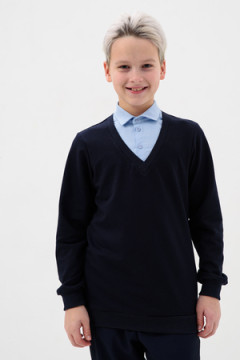 Обманка школа длинный рукав