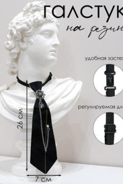 Галстук SP303A