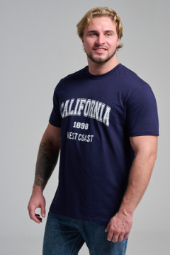 Футболка мужская 8503/1