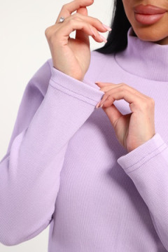 Водолазка 74721