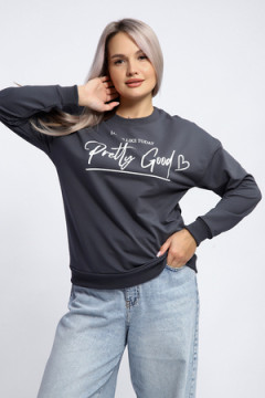 Толстовка 80048