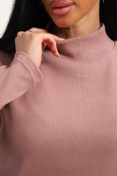 Водолазка 74721