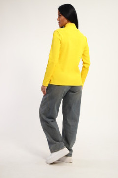 Водолазка 74721