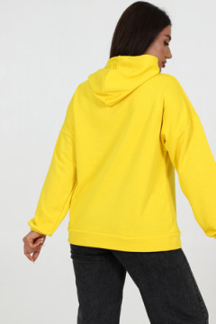 Толстовка 52352