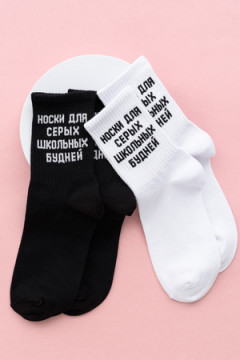 Носки стандарт Школьные будни (набор 2 пары)