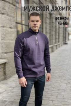 52723 Джемпер мужской