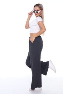 Брюки БЖ003-33ф