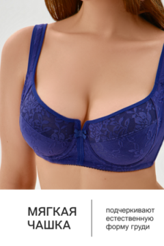 Бюстгальтер 2817