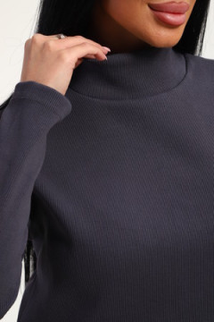 Водолазка 74721