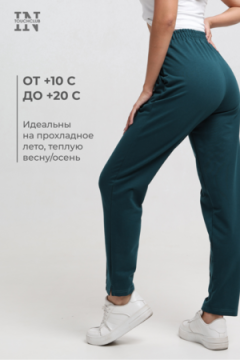 Брюки Амина", 44-58, БР 1-17