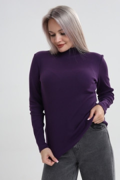 Водолазка ВЖ0059