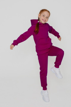 Костюм с брюками футер начёс Николь 40000