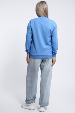 Толстовка 80048