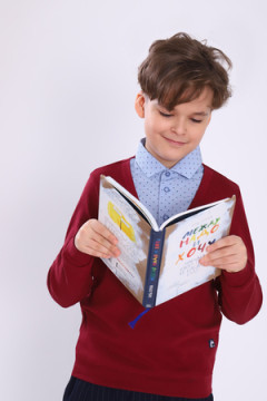 Джемпер 13273