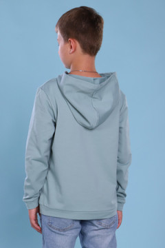 Толстовка 11712