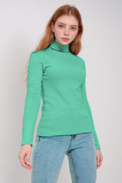 Водолазка 14439/1