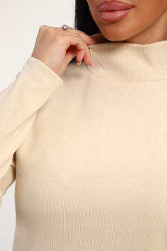 Водолазка 74721