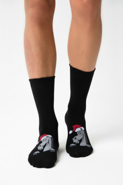 Носки мужские Лукас