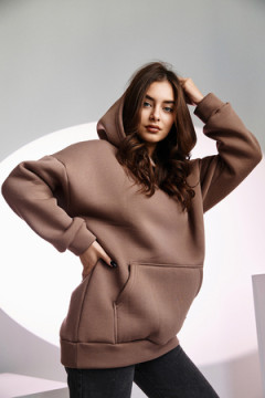 Толстовка 67090