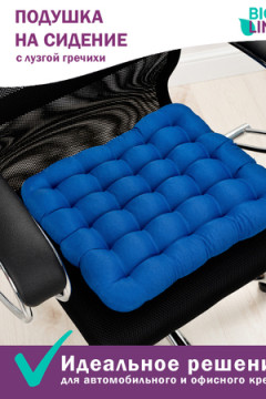 Подушка для мебели Bio-Line с гречневой лузгой PSG25