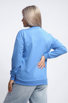 Толстовка 80048