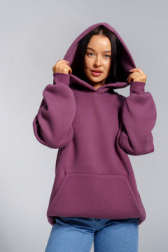 Толстовка Перфект