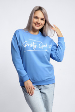 Толстовка 80048