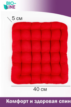 Подушка для мебели Bio-Line с гречневой лузгой PSG25