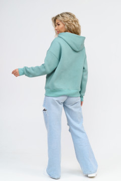 Толстовка 36659